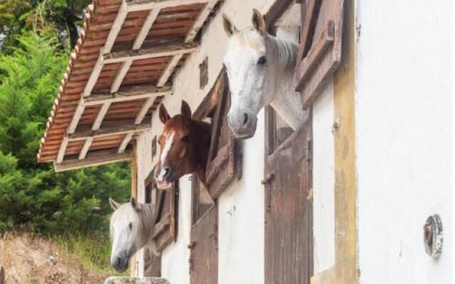 Quinta do Brejo - Turismo Equestre