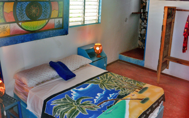 Hostel La Ballena Backpacker