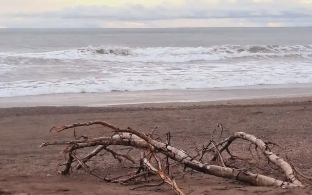 Hotel Tropical Garden