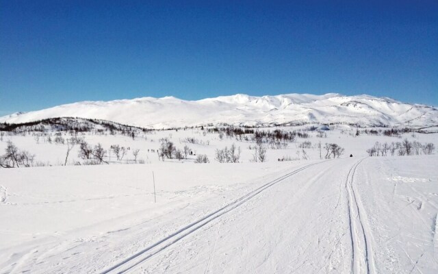 Nice Home in Rauland With 3 Bedrooms and Wifi