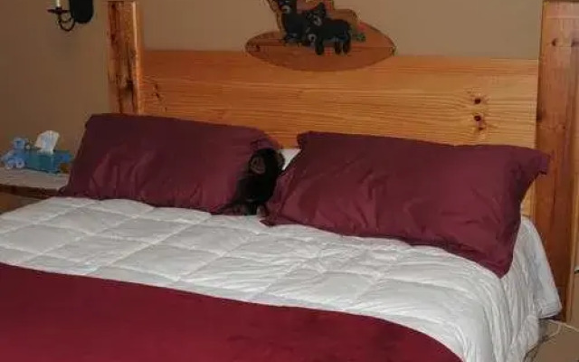 Rodgers Roost Bed & Breakfast