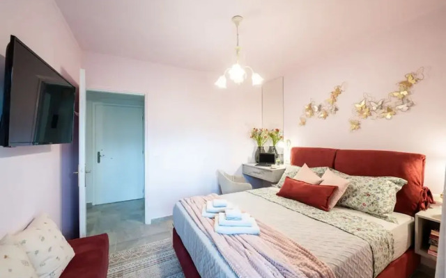 Urban Bloom Oasis - Mini Zen Maison