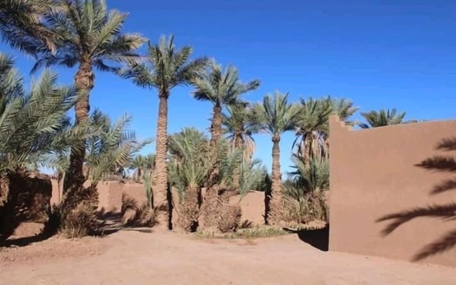 Desert Camping