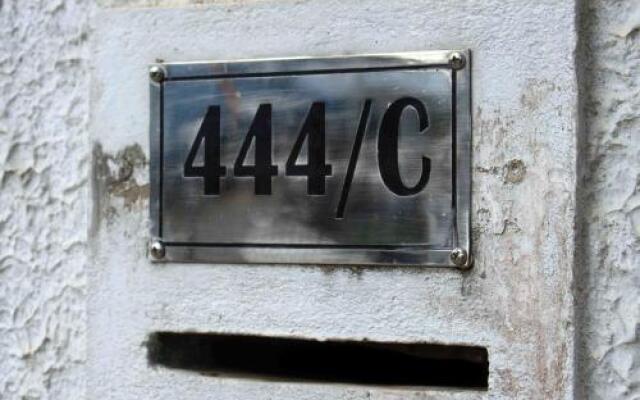 444 C