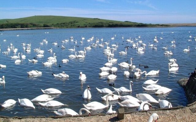 Abbotsbury Tea Rooms