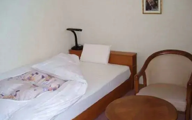 Business Hotel Big West