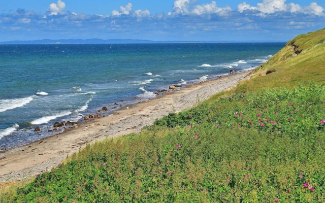 Pet Friendly Holiday Home in Dronningmølle near Sea