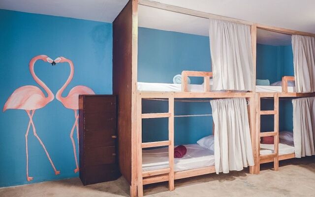 Coco Pod Siargao Hostel