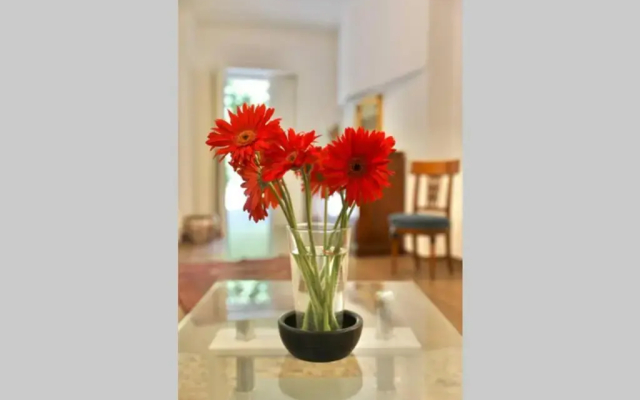 Charming Buddha House