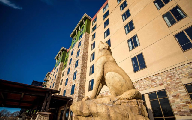 Great Wolf Lodge Bloomington