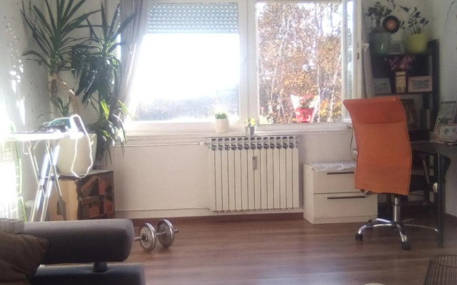 Apartment Jarun Comfort