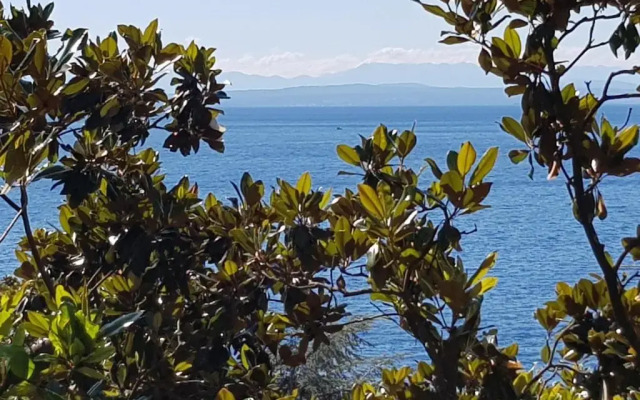 Sunny apartment 150 m from the sea