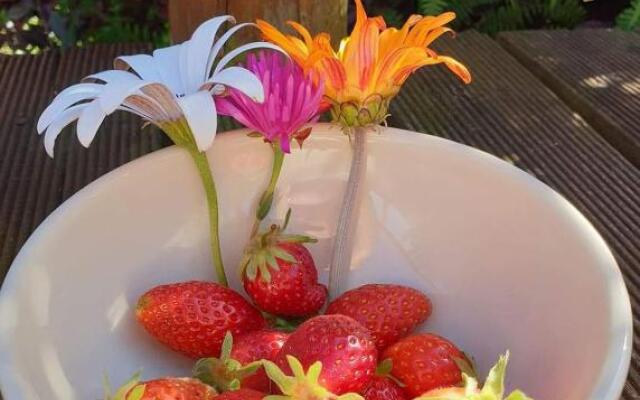 Quinta do Espigueiro