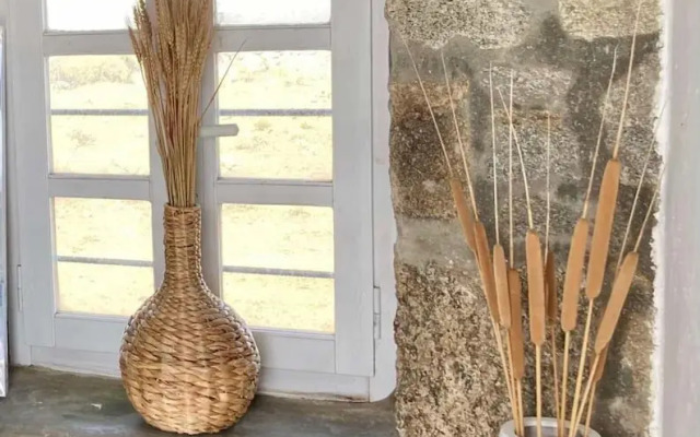 Renos Family Suite Mykonos