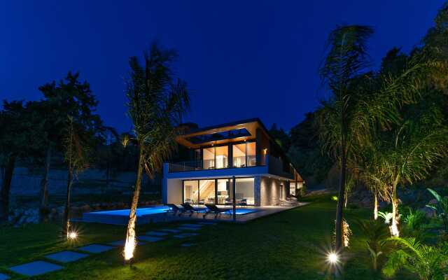 Casa Palmera