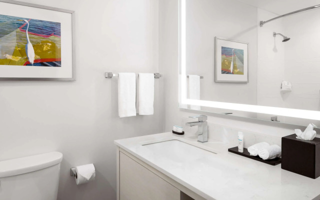 Embassy Suites by Hilton Tampa Airport Westshore