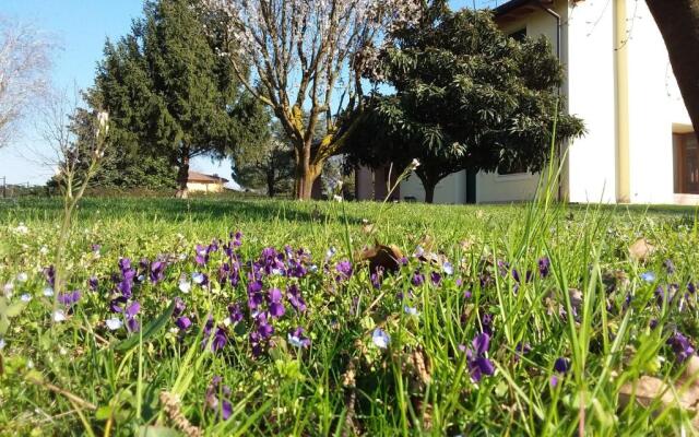 “Al Campo”