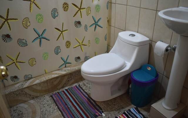 Casa Turtle Bogue - Hostel