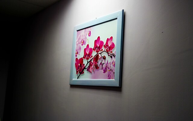 Day & Night — хостел