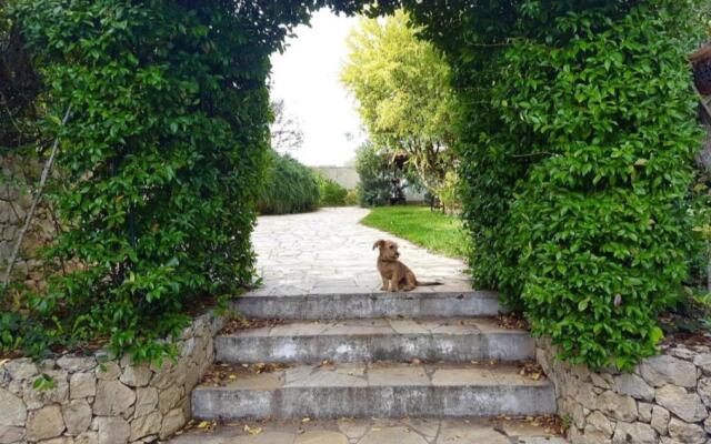 Villa Ales, with swimming pool and garden for 6-7 guests, near Platamona