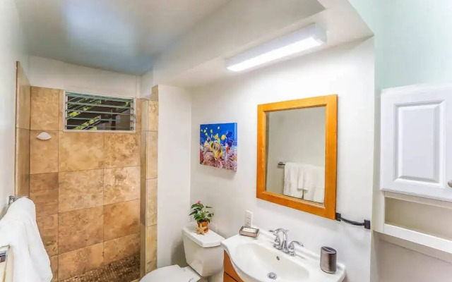 Kona White Sands A4 Romantic Ocean View!