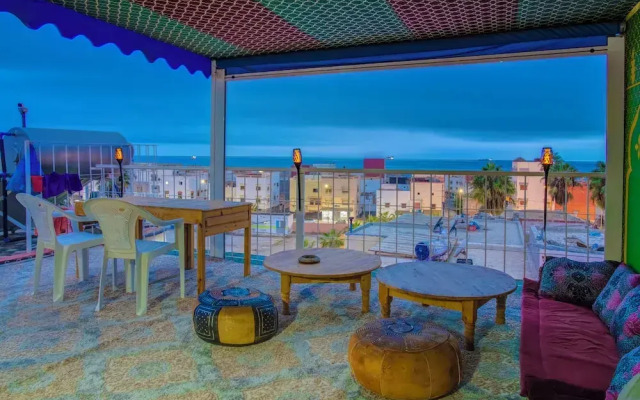 Dinosaur anza surf house