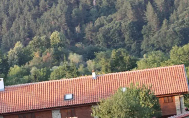 The House on The Hill