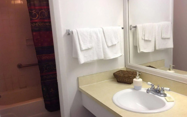 OYO Hotel Petersburg VA I-95 & E Washington St