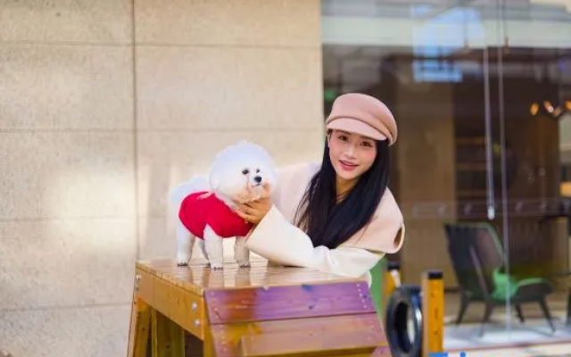 Holiday Inn Shanghai Tourism Zone by IHG – People – Shanghai