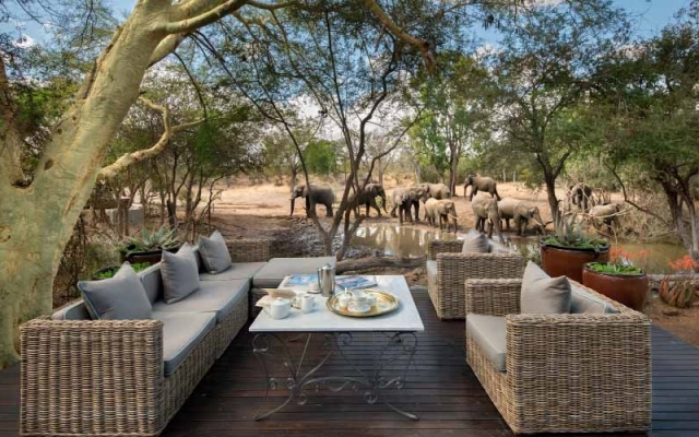 Ngala Private Game Reserve