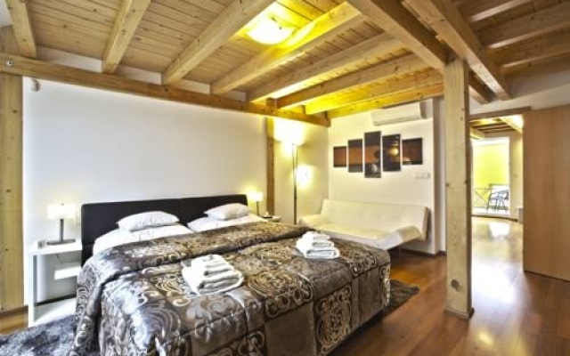 Apartment Attic Olivova