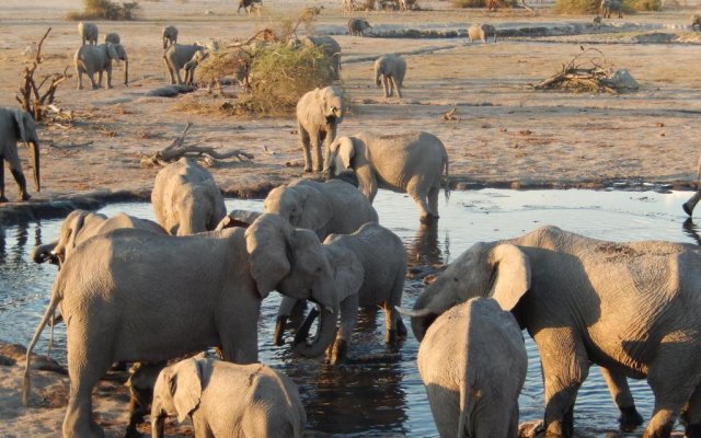 Thobolo's Bush Lodge