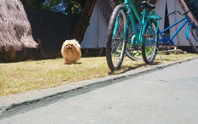 Tropical Casa Ubatuba