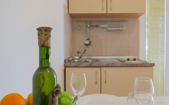 Alluring Holiday Home in Pakostane With Swimming Pool