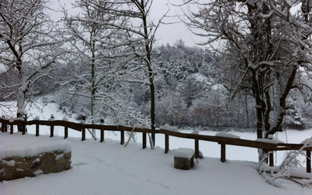 Agriturismo Azienda Agricola Bortolotti