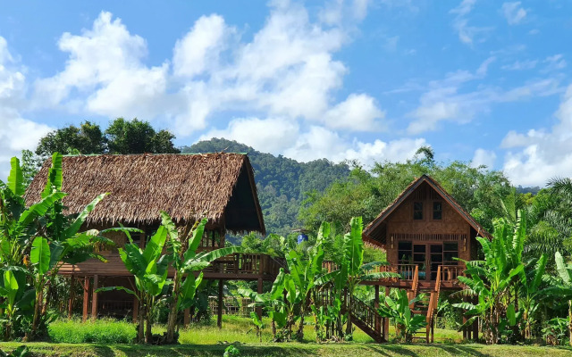 Our Jungle Camp - Eco Resort