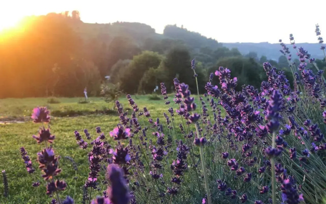 The View House Rabka-Zdroj Wellness & SPA