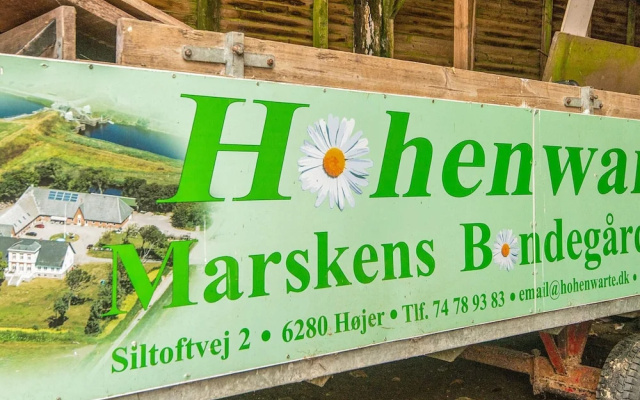 4 Person Holiday Home in Hojer