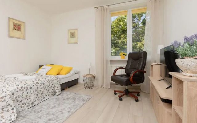 Sunny Studio Raclawicka by Renters