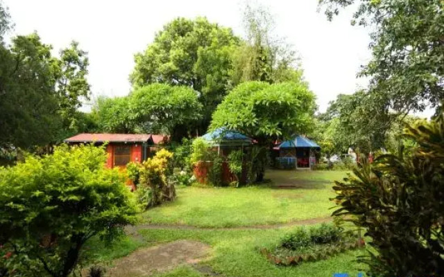 Avocado and Orchid Resort