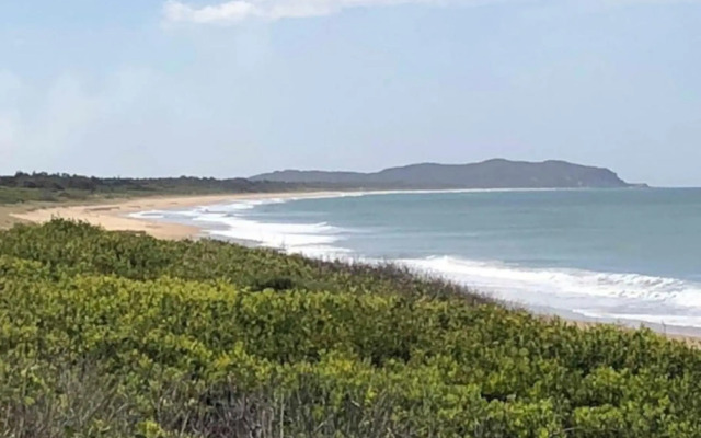 Harrys Haven Harrington