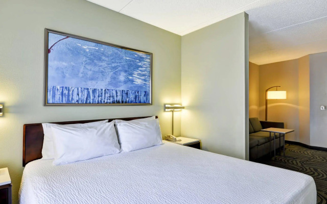 SpringHill Suites by Marriott Austin Round Rock