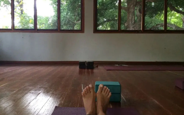Istmo Yoga and Adventure Retreat