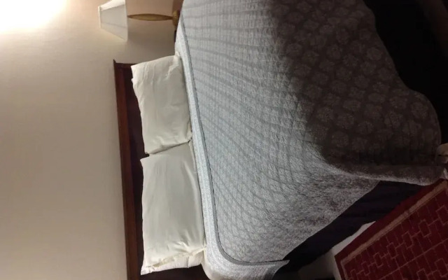 Central Apartment