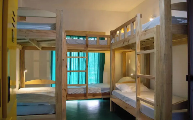 Green Nest Hostel
