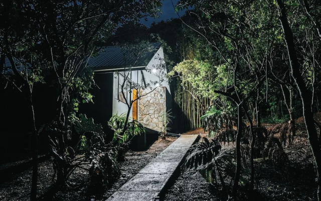 Floresta Monteverde