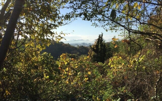 Alpha Eight - Hostel