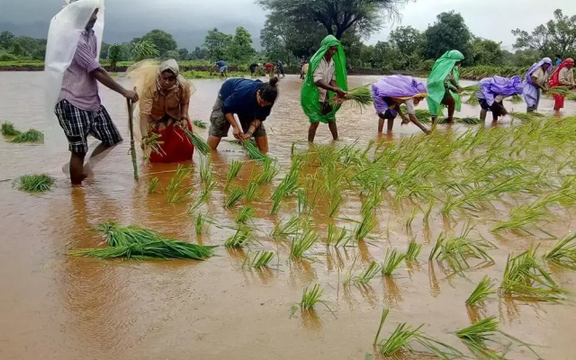 Megh Malhar Agro Tourism