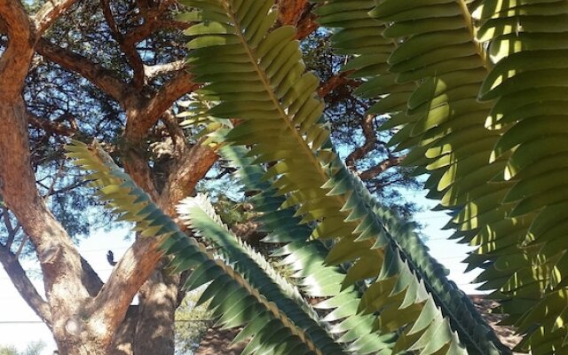 The Club House Guesthouse