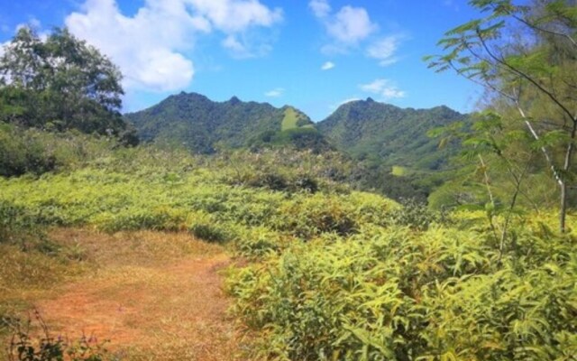 Rarotonga GolfSeaview